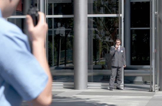 Role in Event Security