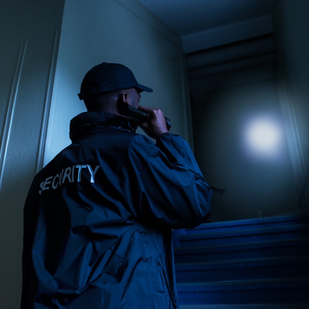 manufacturing security services